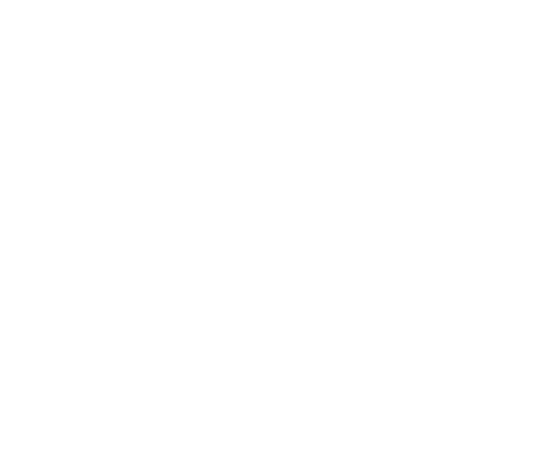 icon-fingerprint