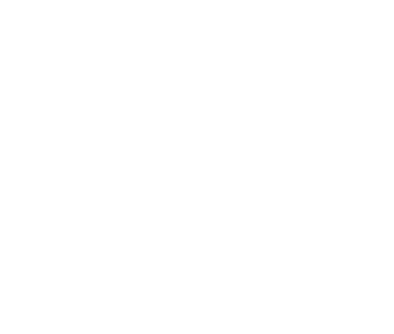 icon-rocket